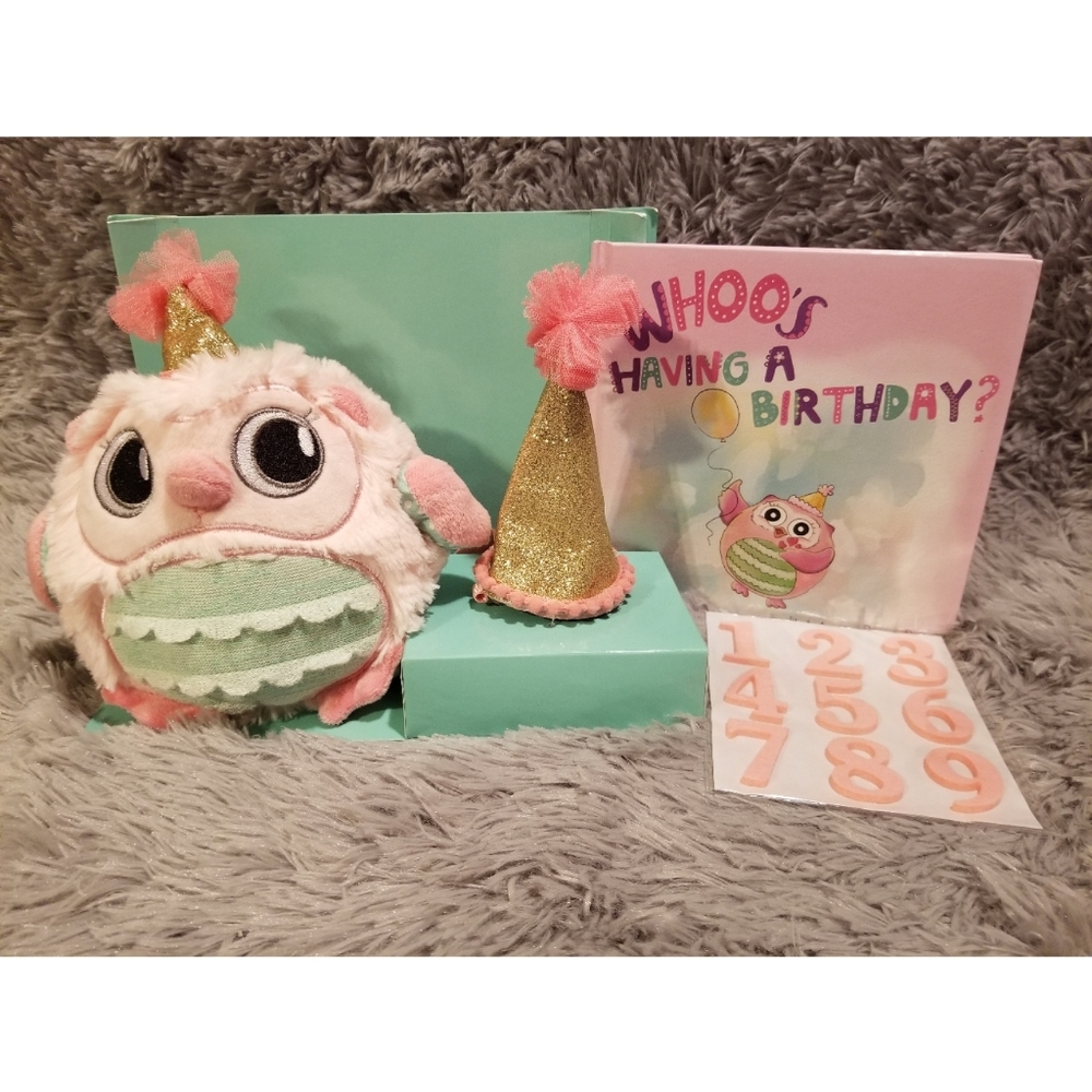 Girls Owl Themed Birthday Party Gift Set